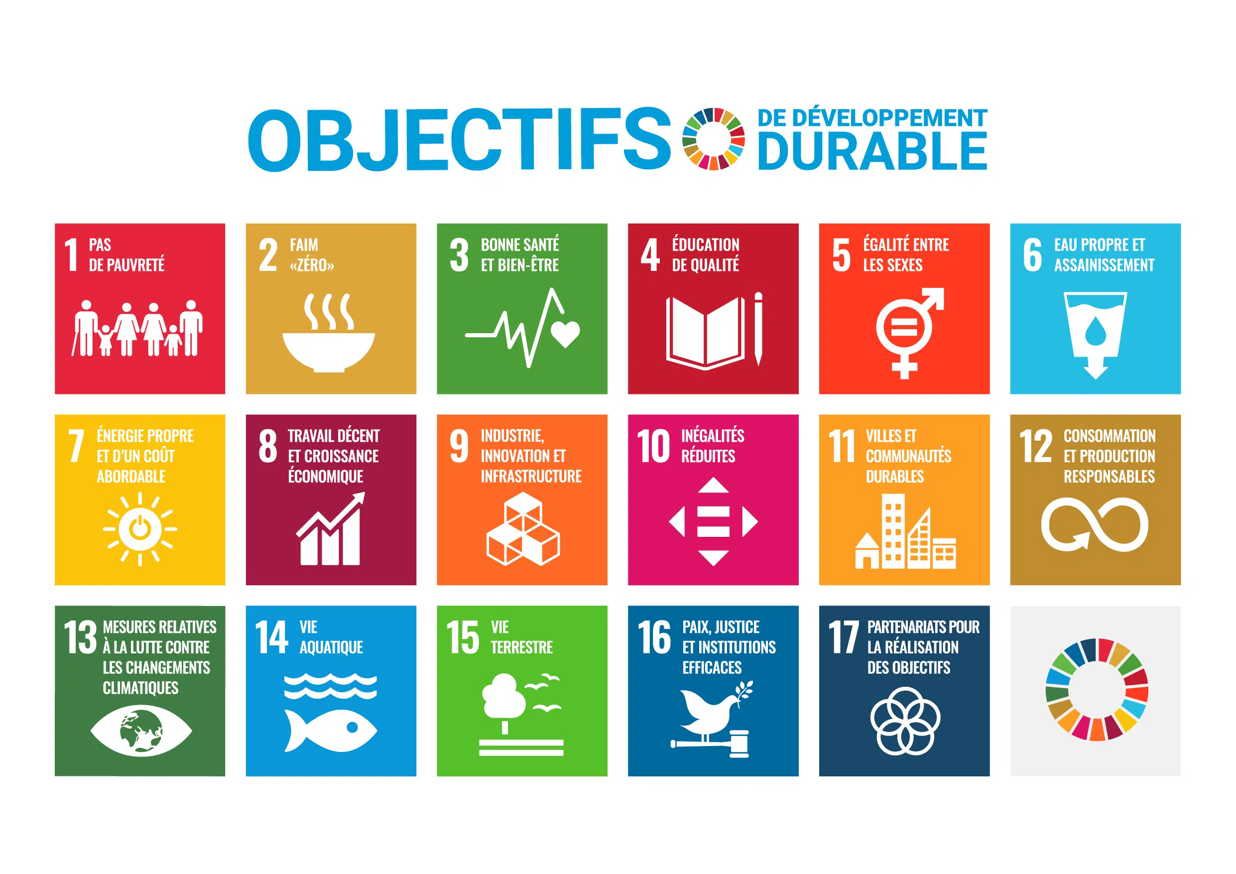 Objectifs de développement durable ONU